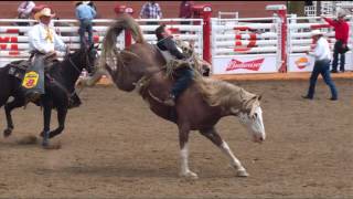 Calgary Stampede Rodeo  Daily Highlights  Day 3 [upl. by Daniele]