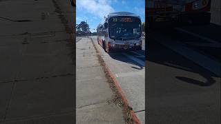 SF MUNI 5007 on 23 Monterey at Sloat amp Clearfield [upl. by Leahcimal]