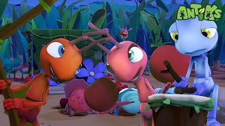 Showtime  😄🐜 Antiks Adventures  Joey and Boos Playtime [upl. by Erdah]