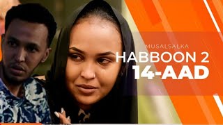 HABBOON S2 XALQADA 14AAD  quotDUQDA HADII EY KU JECLAATO AYADA MAKU GUURSANEEYSOquot [upl. by Naillimxam]