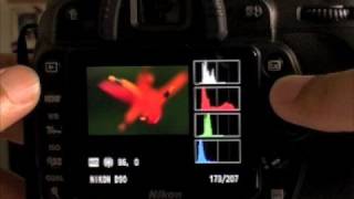 Nikon D90 Image Preview and Review [upl. by Rockel722]