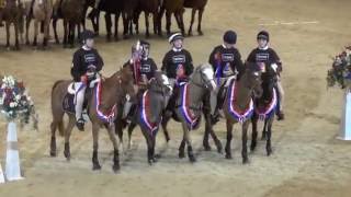 HOYS MOUNTED GAMES 2016 [upl. by Eillek]