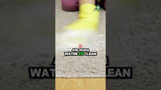 Heres a Quick Tip Clean Carpet Spills Fast shorts carpetcleaning carpet [upl. by Derrick6]