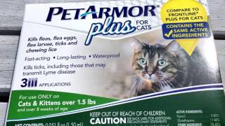 PET ARMOR PLUS FOR CATS REVIEW  Frontline Plus alternative  Tick amp Flea Medicine [upl. by Karlik816]