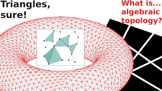 What aresimplicial complexes [upl. by Mairam]