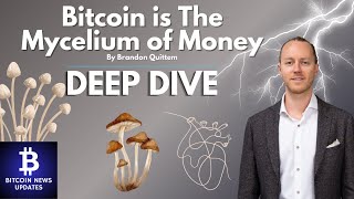 Bitcoin is The Mycelium of Money Deep Dive into Brandon Quittems Vision of Decentralized Evolution [upl. by Ynafit443]