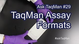 TaqMan Assay Formats Explained  Ask TaqMan 29 [upl. by Nivi]