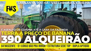 DE 55 POR R 42 MILHÃO  JÁ PLANTA 700 HECTARES  FAZENDA EM GOIÁS COM DUPLA APTIDÃO [upl. by Nonnahsal]