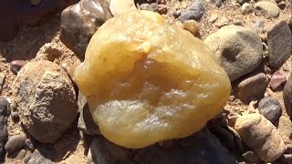 حجر السحلية او ليزارديت سعر ومعلومات Lizardite [upl. by Onirefes]