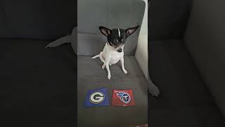 Packers vs Titans nfl nflfootball nflpredictions week3 greenbaypackers tennesseetitans dog [upl. by Ruhtra]