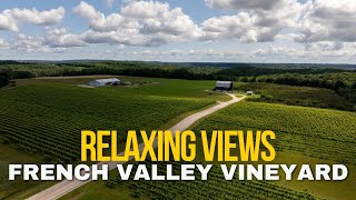 French Valley Vineyard Michigan  Relaxing Views [upl. by Cathee]