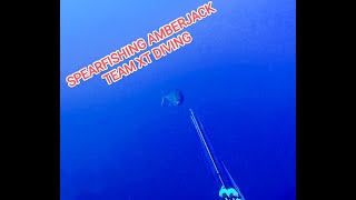 SPEARFISHING AMBERJACK TEAM XT DIVING [upl. by Gaelan]