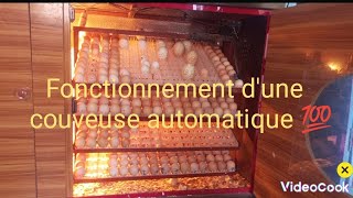 Comment fonctionne une couveuse automatique 💯 bennieagroltd agriculteursmodernes incubator [upl. by Anaele915]