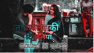 Tohar lalki tikuliya trending LoFi songs Ritesh Pandeyतोहार ललकी टिकुलिया2024vikaslofiremix20 [upl. by Wemolohtrab]