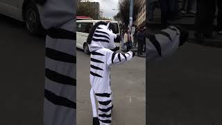 We Tried the New ZEBRA TRAFFIC CROSSINGS [upl. by Annet]