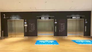 【ダイコー】東京国際クルーズターミナルのエレベーター [upl. by Buyer]