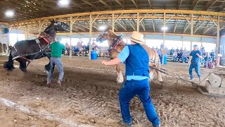 TROUBLE AT THE HORSE PULL  Draft Horse Pull in Madrid NY 529 [upl. by Hassi]