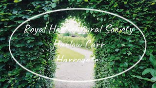 Royal Horticultural Society at Harlow Carr Harrogate 2024 [upl. by Terr]