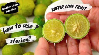 KAFFIR LIME FRUIT [upl. by Zubkoff]