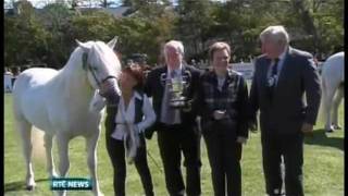 The 2011 Connemara Pony Show Clifden Ireland [upl. by Kirt]