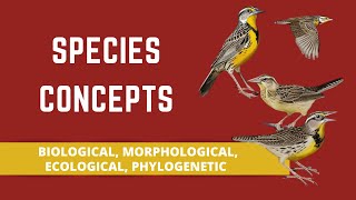 SPECIES CONCEPTS BIOLOGICAL MORPHOLOGICAL ECOLOGICAL PHYLOGENETIC [upl. by Lisha]