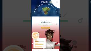 Huge Haul For the Day in Pokemon Go shorts pokemongo halloween [upl. by Eita]