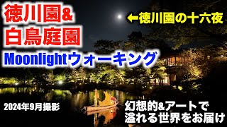 【徳川園amp白鳥庭園 Moonlightウォーキング】ライトアップされた夜の庭園は幻想的ampアートで溢れる世界感をお届け（2024年9月撮影） [upl. by Hajed]