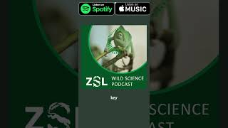 ZSL Wild Science Podcast 042  Natures Negotiators part 1 [upl. by Ogir418]