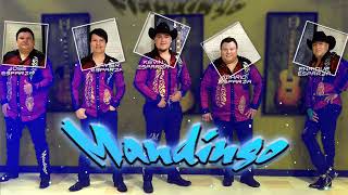 GRUPO MANDINGO EXITOS SUS MEJORES CANCIONES DE GRUPO MANDINGO  MIX ROMANTICAS 2021 [upl. by Mosenthal]