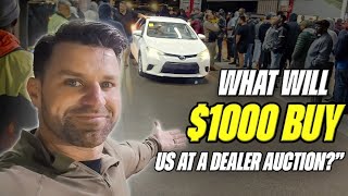 There are SO MANY CHEAP CARS at this Dealer Auction in Florida [upl. by Bilek]