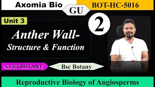 Anther wall Structure amp Function Reproductive Biology 5th sem GU Bsc Botany Axomia Bio [upl. by Ydnelg]