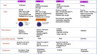 Comparing AML ALL CML and CLL The leukemias [upl. by Steffy]