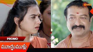 Moodu Mullu Promo 29 Oct 2024  Telugu Serial  Gemini TV [upl. by Sayer343]