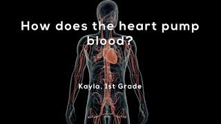 How does the heart pump blood [upl. by Casabonne]