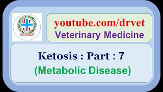 Bovine Ketosis 7 [upl. by Nennek]