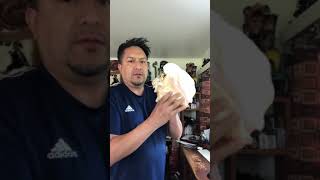 How to blow an Aztec Mexica Conch Sea Shell Trumpet [upl. by Zaid]