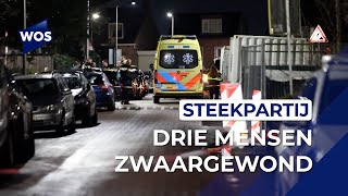 Steekpartij op straat in Honselersdijk [upl. by Retrac933]