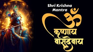 Krishna Mantra  Om Krishnaya Vasudevaya Haraye Paramatmane 108 Times  Bhakti Song  Krishna Bhajan [upl. by Essile]