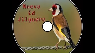 Nuevo Cd Jilguero Educación Noveles  2014 [upl. by Allac771]