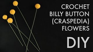 DIY Craspedia Billy Button Flowers [upl. by Bury]