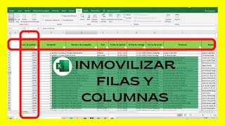 COMO INMOVILIZAR COLUMNAS Y FILAS EN EXCEL AL MISMO TIEMPO [upl. by Nnayllas814]