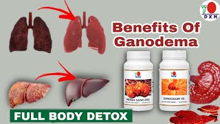 DXN Ganodema in Hindi  Health Benifits of Ganotherapy [upl. by Constancy]