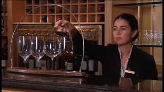 Discover The Wines of Chile Part 1 of 2 [upl. by Endor]