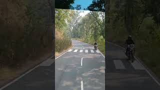 travel speed amazon jungle tygar kanha Saturda jangling bafelo [upl. by Eelarak188]