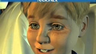 Nasonex Bee 3D Animation [upl. by Ellard]