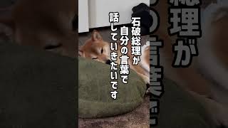 レイクタウンのマメシバごんVS石破総理 自分の言葉がない石破さんを斬る まめしば 柴犬 石破総理 石破総理大臣 今日のごん 政治 豆柴 [upl. by Cuthbert]