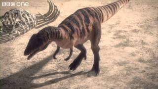 Carcharodontosaurus  Planet Dinosaur  Episode 1  BBC [upl. by Nanoc]