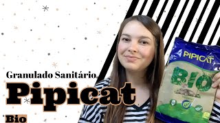 Testamos o granulado sanitário Pipicat Bio para gatos  Leticia MdO [upl. by Columba170]