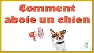 Comment aboie un chien [upl. by Dranek38]