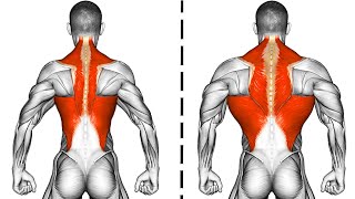 9 Exercises to Build a Wide Back Fast [upl. by Teiluj]